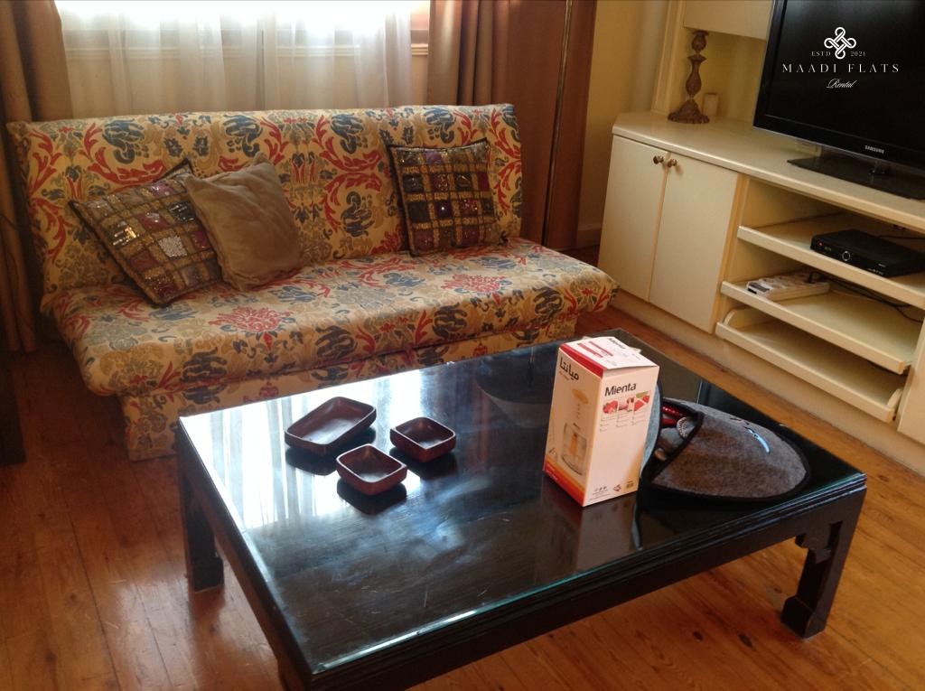 1-Bedroom Apartment With 2 Bathrooms For Rent In Degla Maadi – Expat Friendly-4970-gallery-9