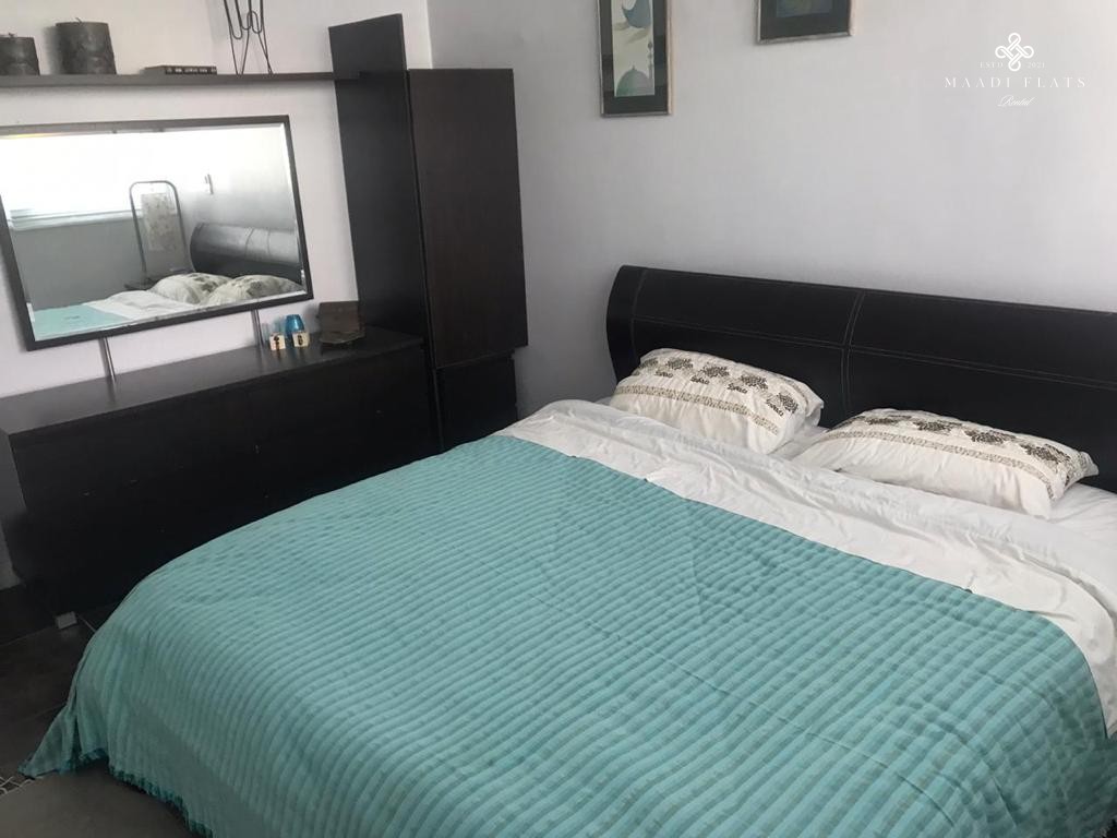 2-Bedroom Apartment Near Cairo American College (Cac) In Degla Maadi-4961-gallery-2