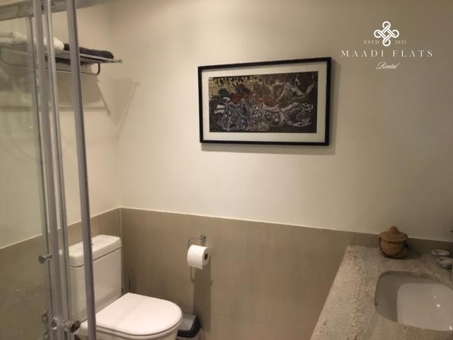 2-Bedroom Apartment With Large Terrace – Maadi Sarayat-4989-gallery-2