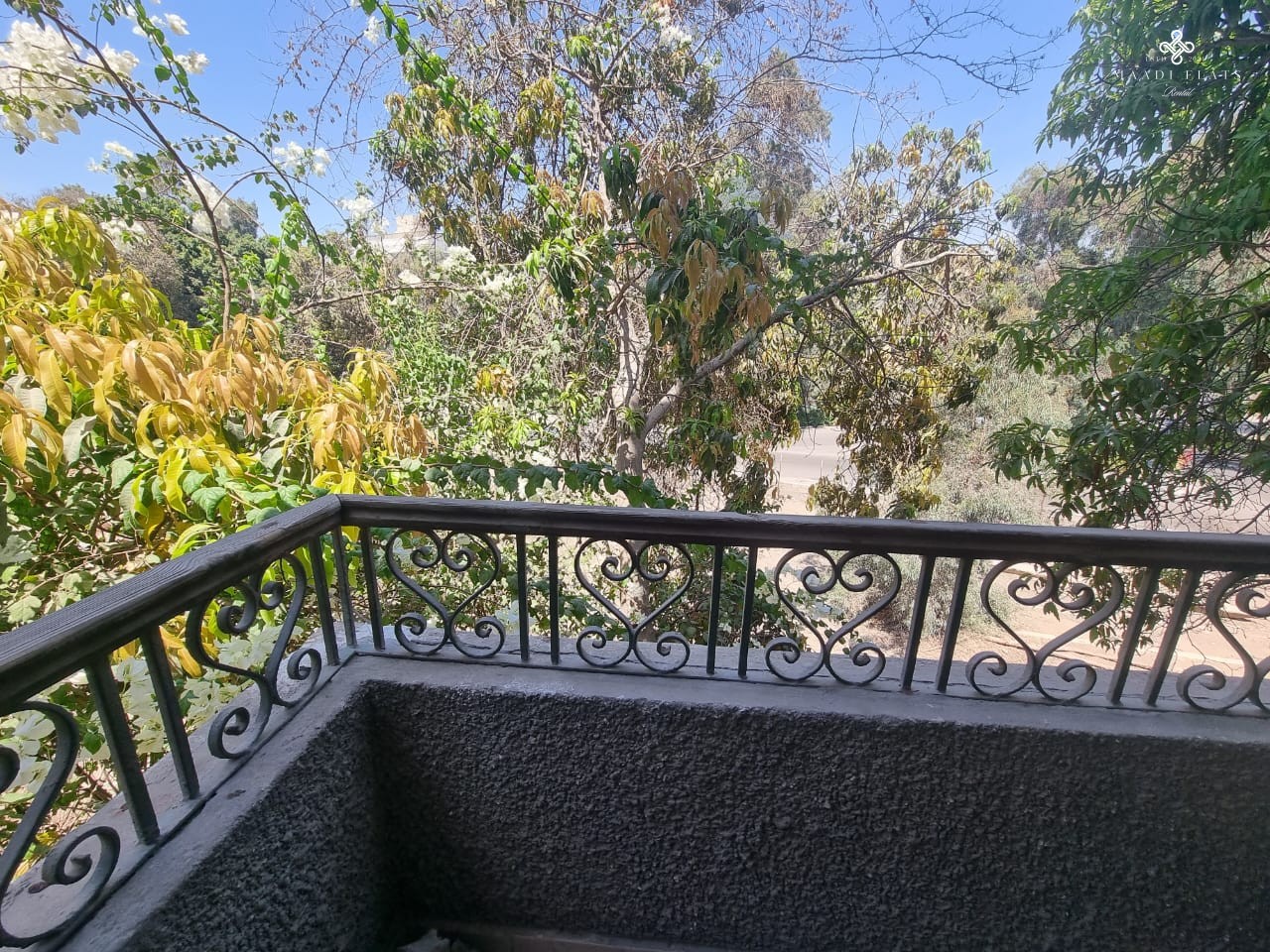 Apartment For Rent With Swimming Pool In Al Maadi Sarayat Cairo Egypt-5116-gallery-18