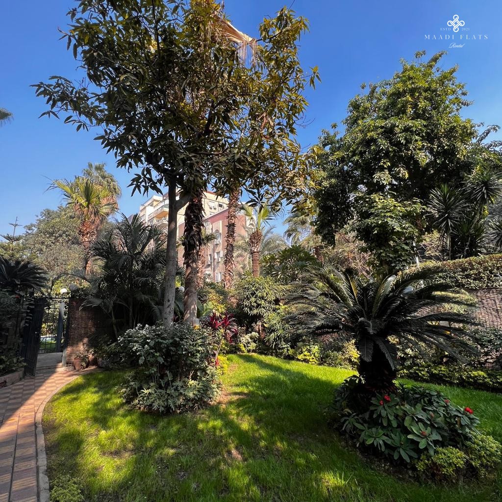 Elegant 3-Bedroom Apartment With Terrace & Laundry Room – Maadi Sarayat-4982-gallery-17