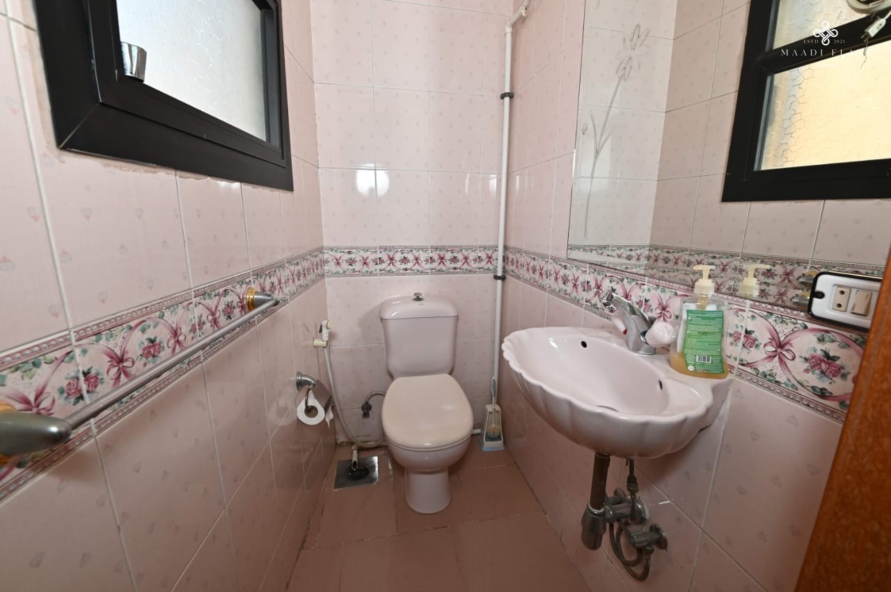 Furnished Apartment With Shared Swimming Pool For Rent In Sarayat El Maadi Cairo Egypt-5059-gallery-31