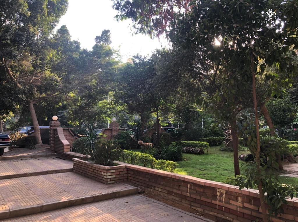 Furnished Ground Floor For Rent In Maadi Degla-5020-gallery-0