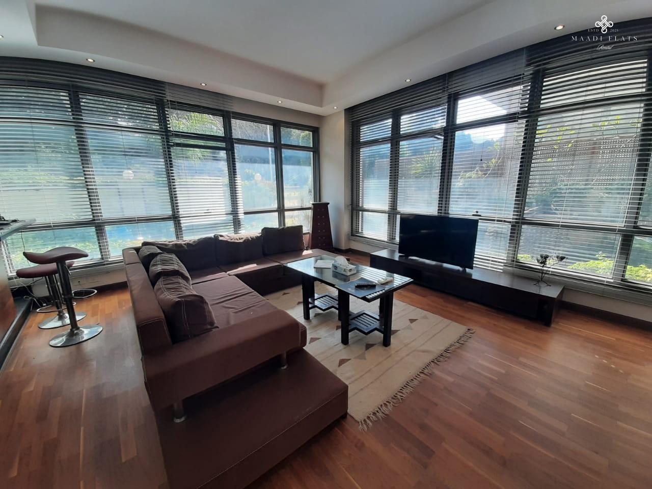 High End Finished Ground Floor Modern Studio For Rent In Maadi Degla-5019-gallery-9