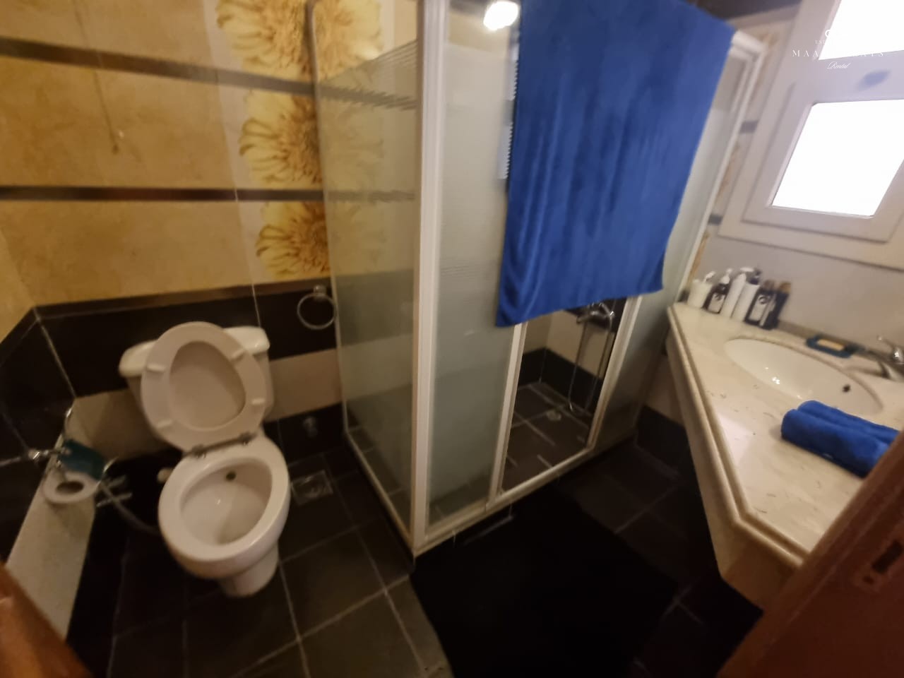 شقة فاخرة مفروشة للإيجار في كومباوند – سرايات المعادي – ٤ غرف – ٢٦٥ متر – ٣٠٠٠ دولار شهريًا-5094-gallery-26