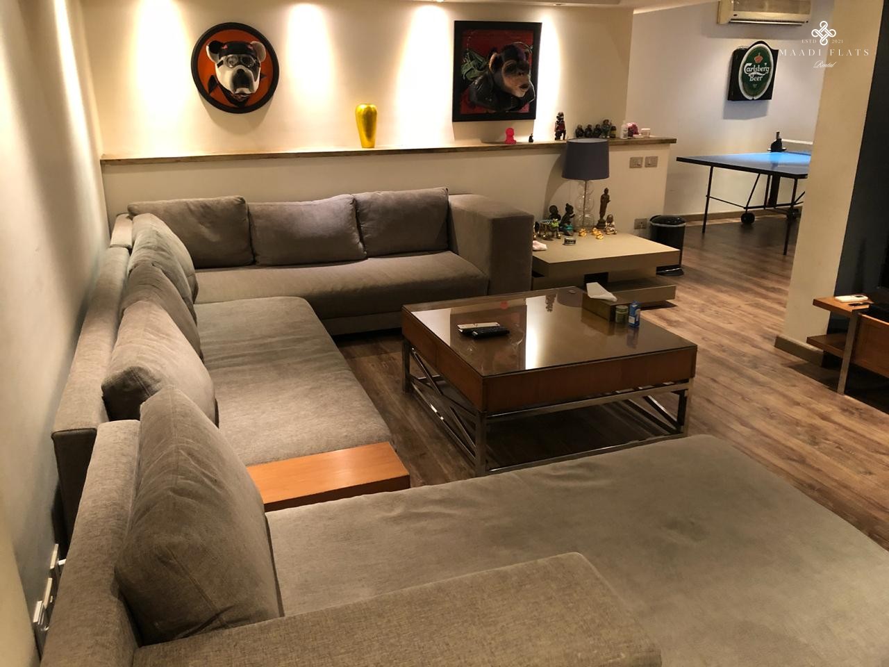 Modern Apartment For Rent In Maadi Cairo Egypt-5033-gallery-16