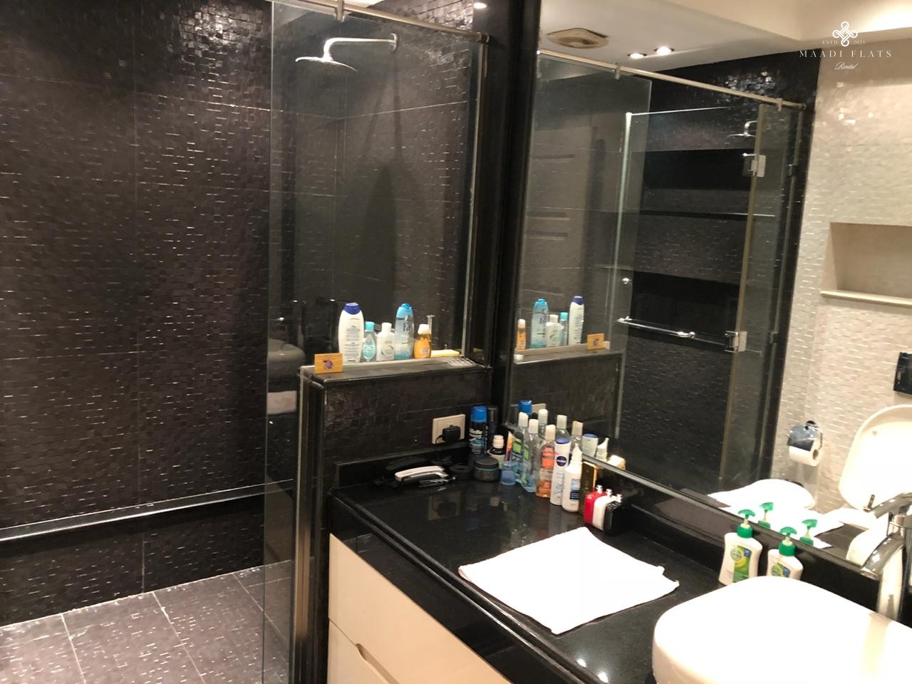 Modern Apartment For Rent In Maadi Cairo Egypt-5033-gallery-20