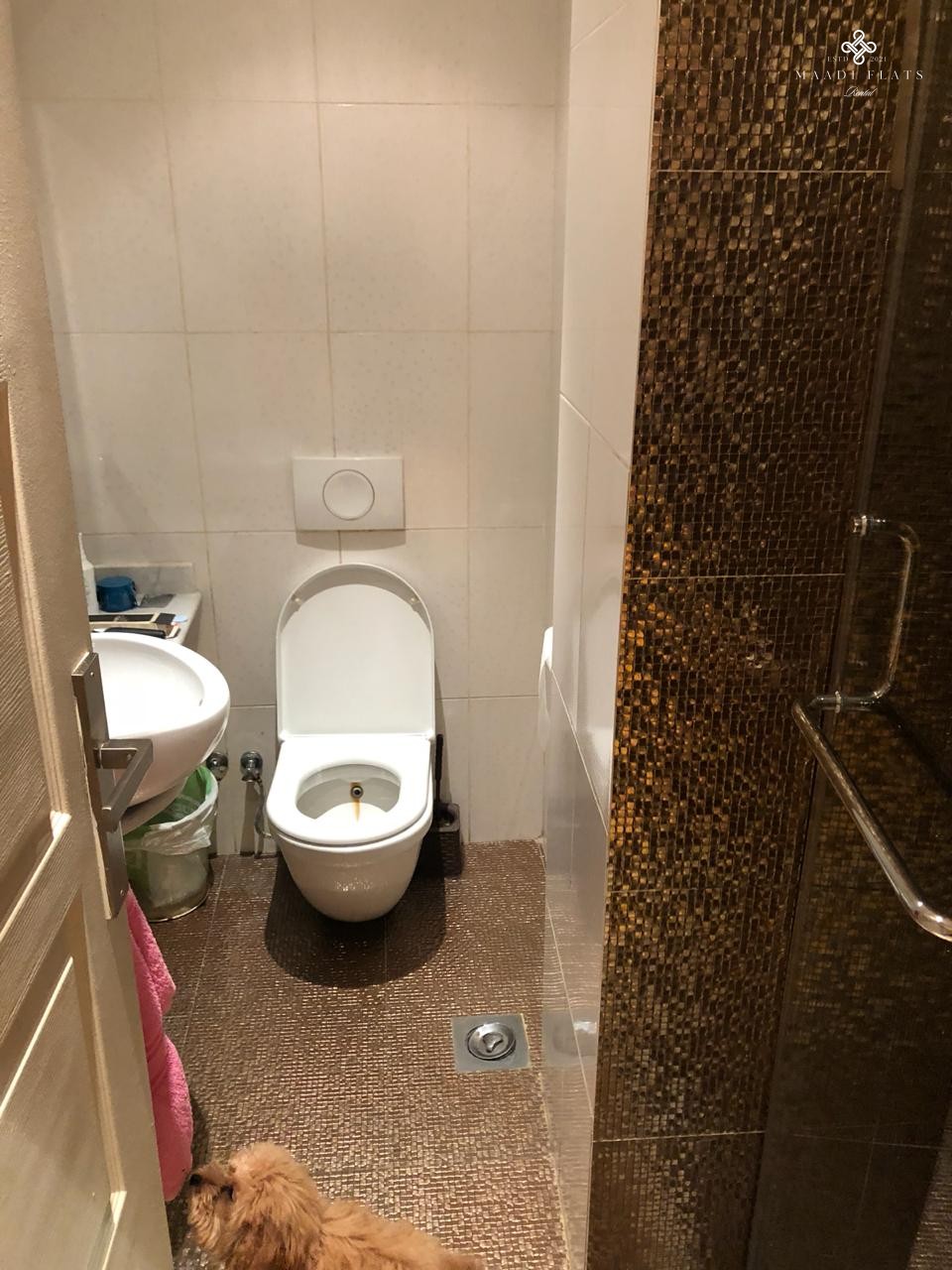 Modern Apartment For Rent In Maadi Cairo Egypt-5033-gallery-28