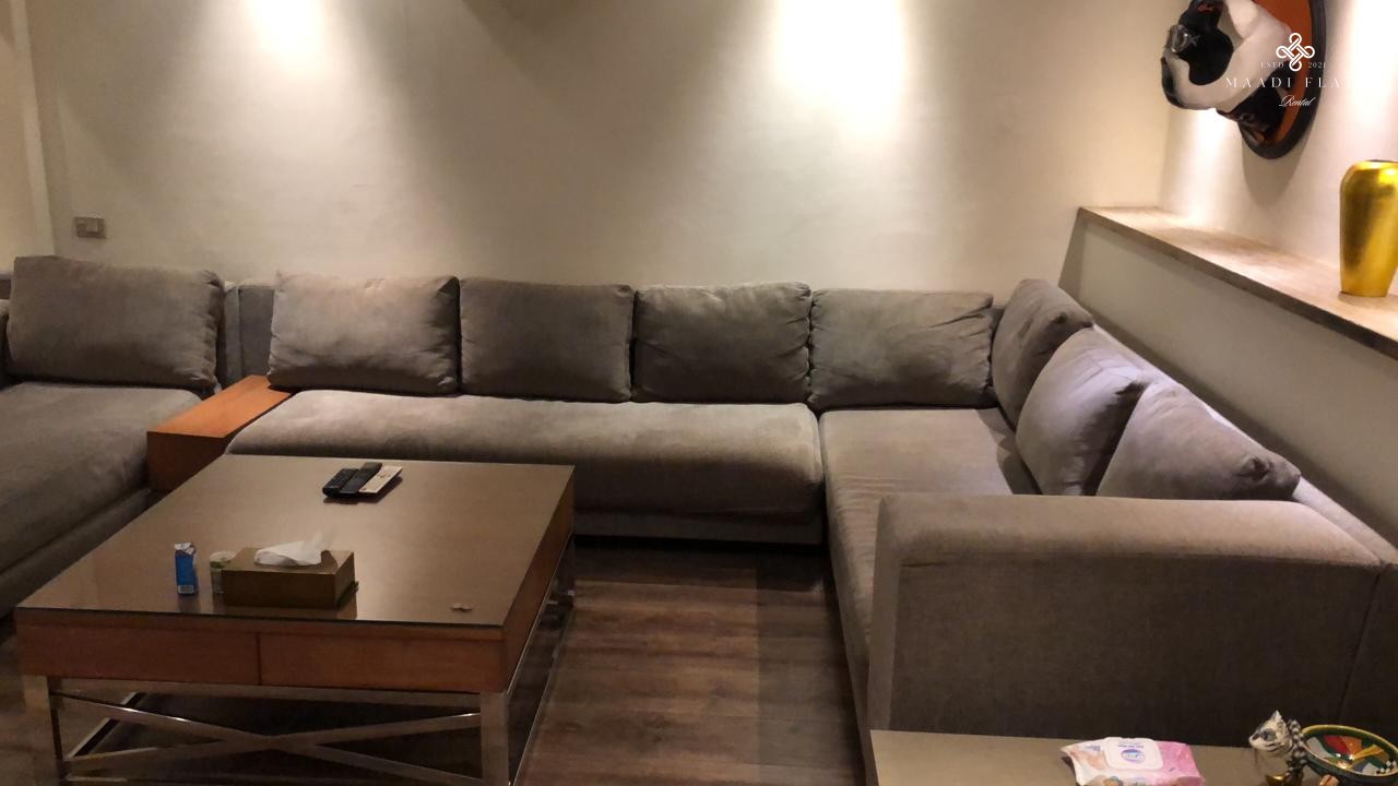 Modern Apartment For Rent In Maadi Cairo Egypt-5033-gallery-40