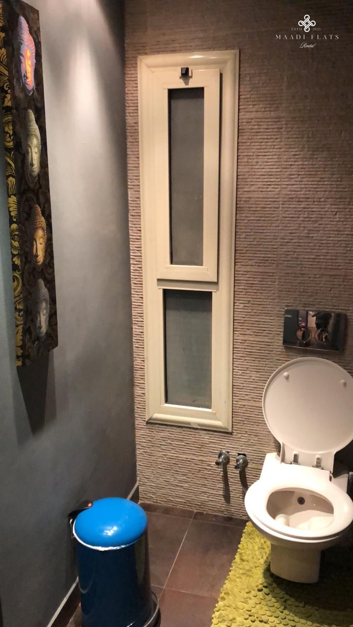 Modern Apartment For Rent In Maadi Cairo Egypt-5033-gallery-41