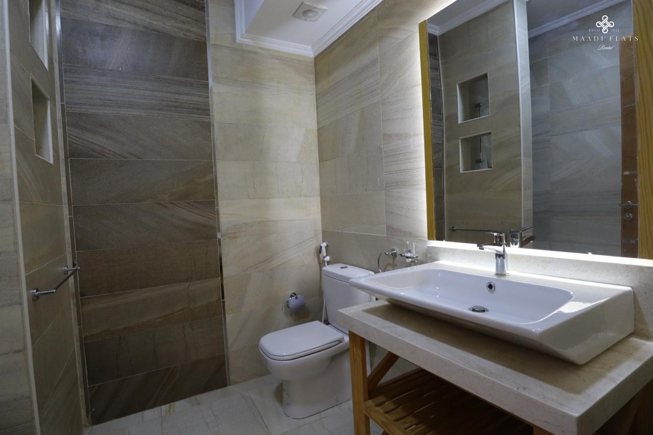 Modern Apartment With A Big Terrace In Sarayat Maadi-4917-gallery-9