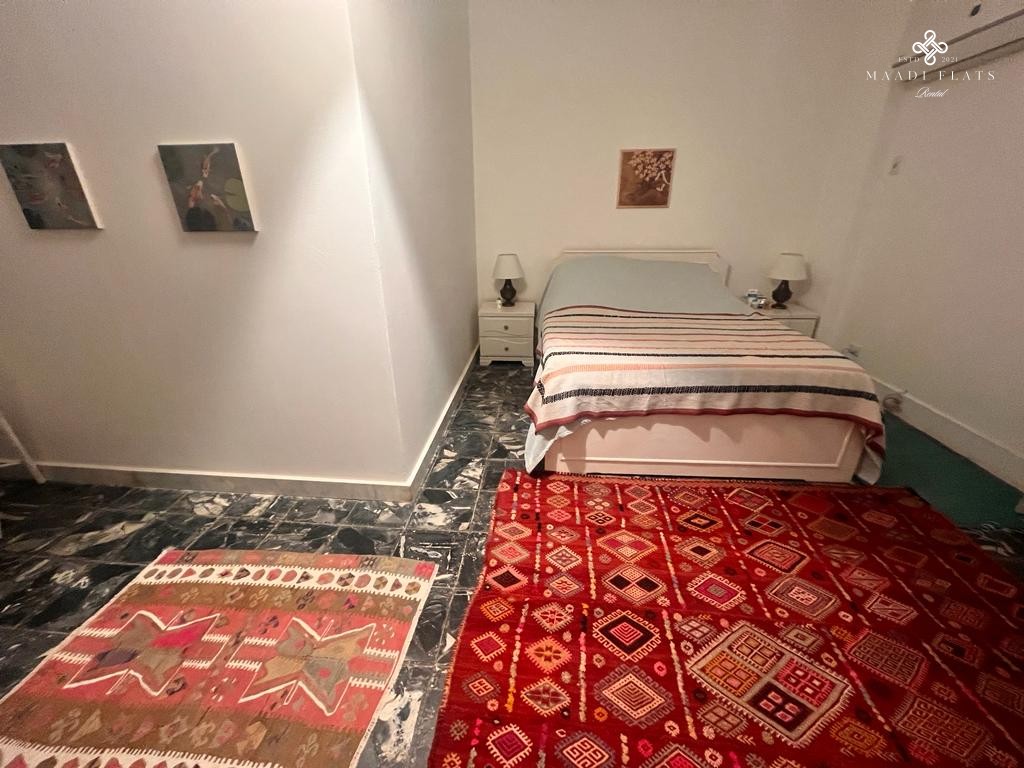 Modern Furnished Apartment For Rent In Maadi Sarayat Cairo-5035-gallery-11