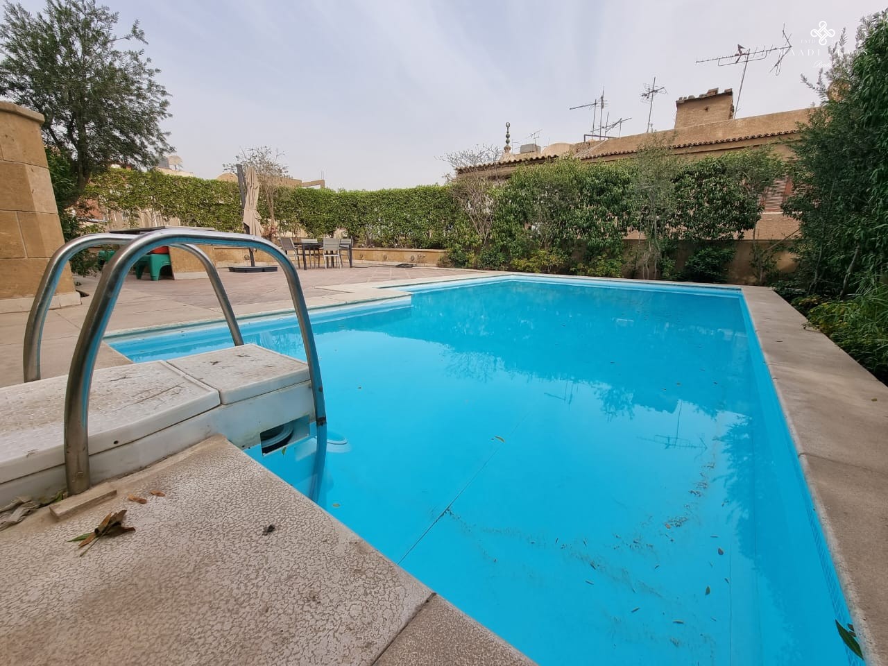 Modern Ground Floor With Private Swimming Pool For Rent In Degla El Maadi Cairo Egypt-5069-gallery-45
