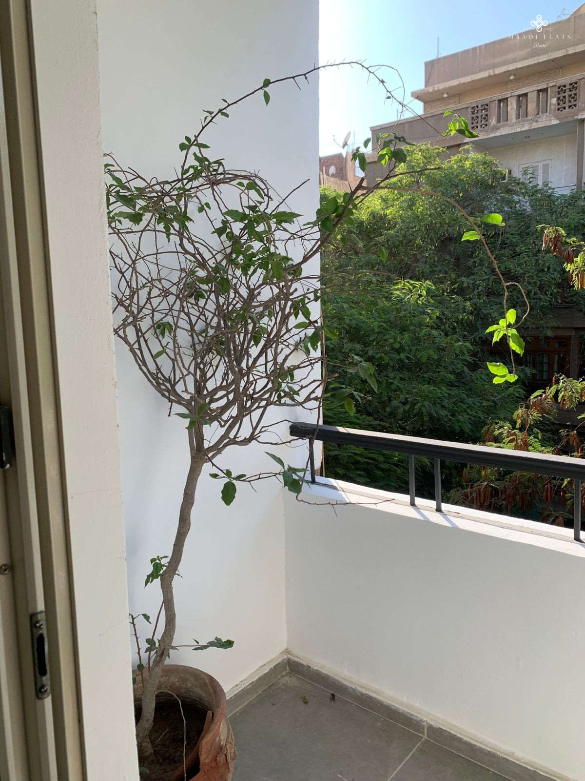 New Modern Furnished Apartment For Rent In Sarayat El Maadi Cairo Egypt-5045-gallery-29