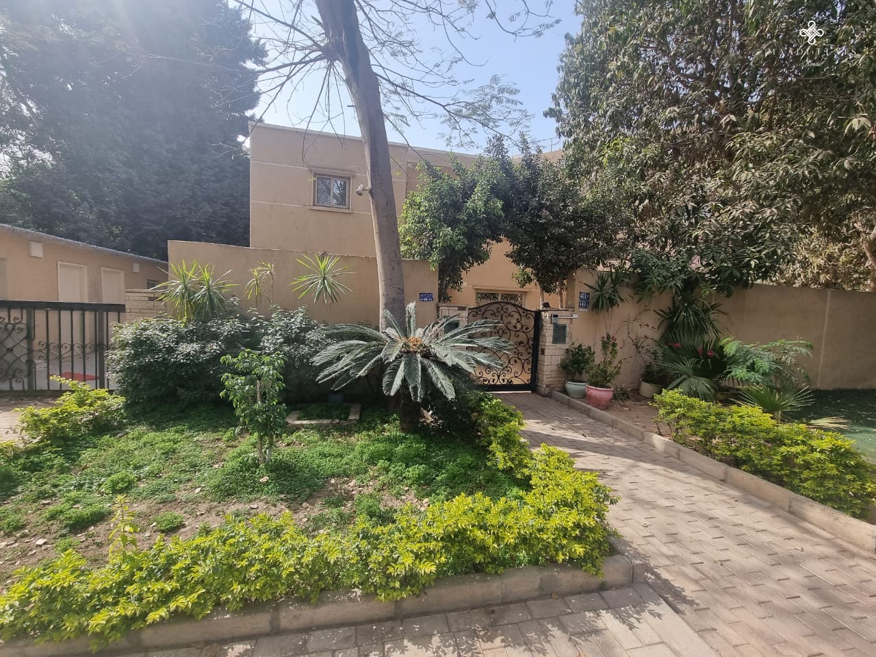 إيجار فيلا للإيجار في المعادي سرايات القاهرة مصر-5032-gallery-1