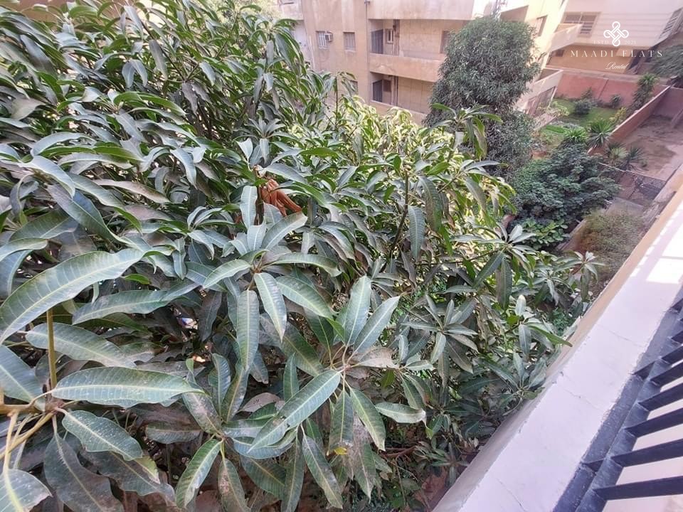 Spacious 2-Bedroom Apartment For Rent In Maadi Sarayat – Ideal For Expats-4928-gallery-10