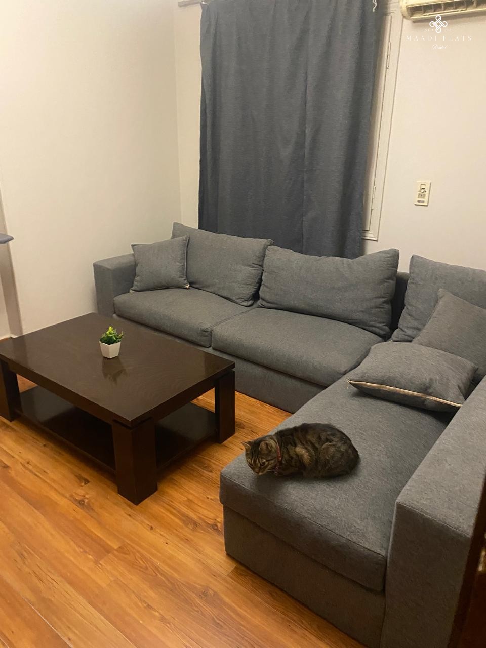 Spacious 3-Bedroom Apartment – Degla Maadi | 180 Sqm-5015-gallery-1