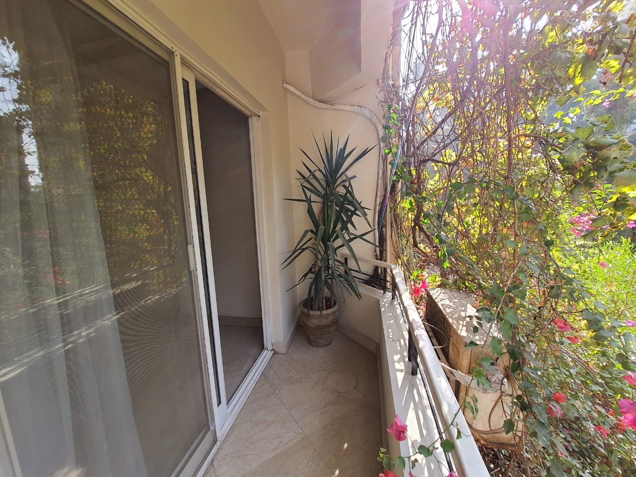 شقة حديثة جدا للايجار في المعادي سرايات القاهرة مصر-5110-gallery-9