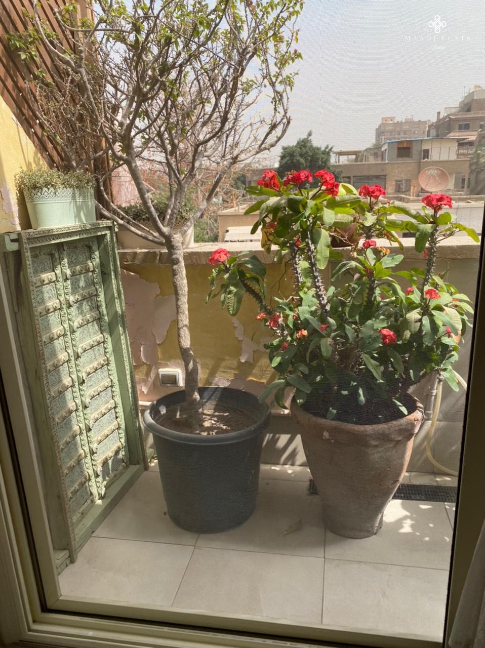 استوديو حديث للغاية على السطح للإيجار في سرايات المعادي-5105-gallery-12