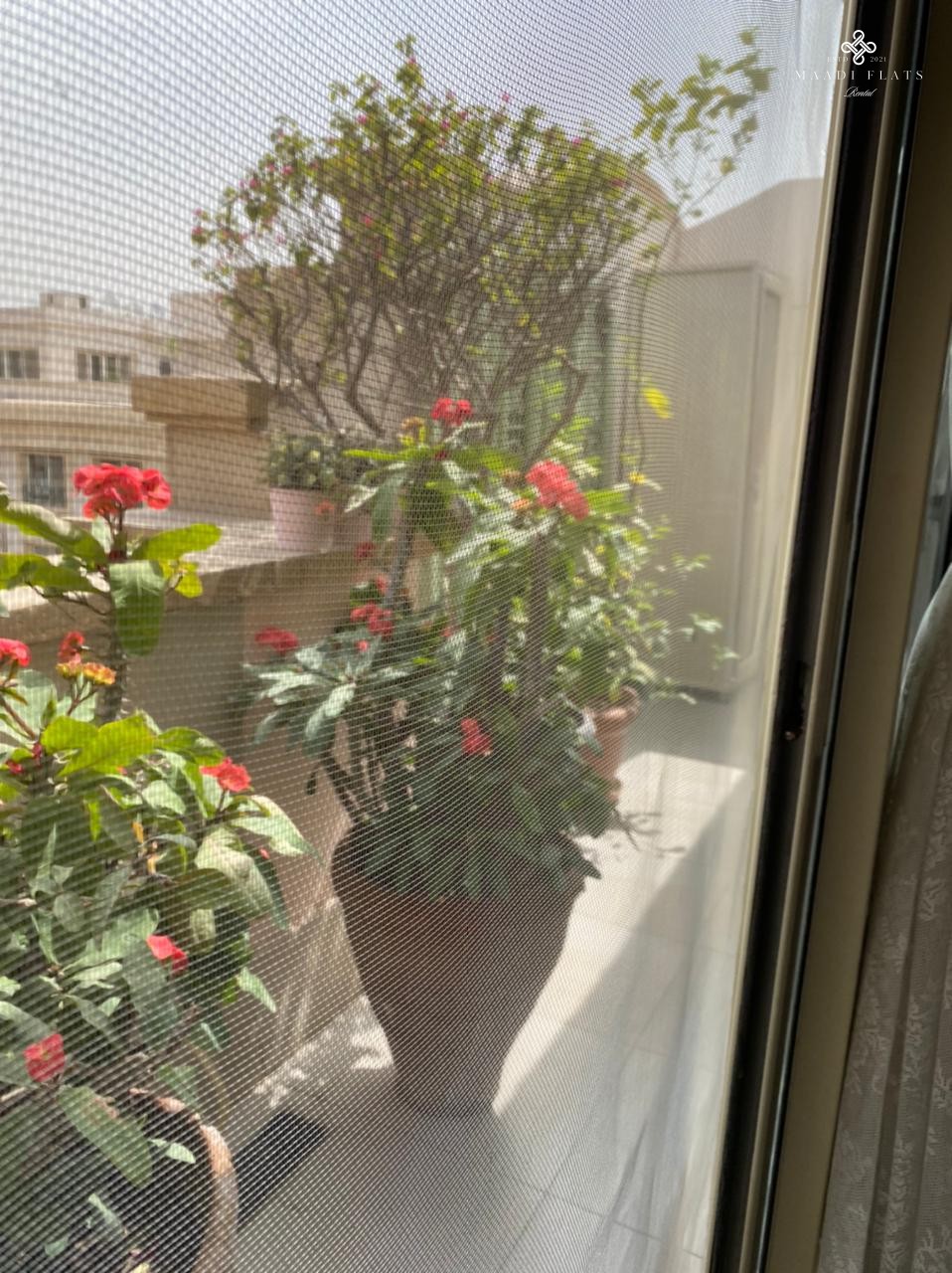 استوديو حديث للغاية على السطح للإيجار في سرايات المعادي-5105-gallery-19